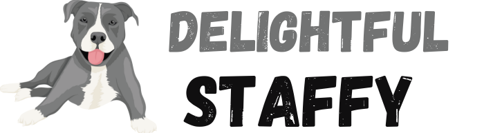 Staffy Bull Terrier Puppies For Sale